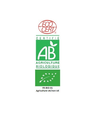 Gelées safranées de Thé bio, 4 pots 40 gr